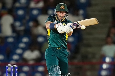 Matthew Wade bats against Scotland